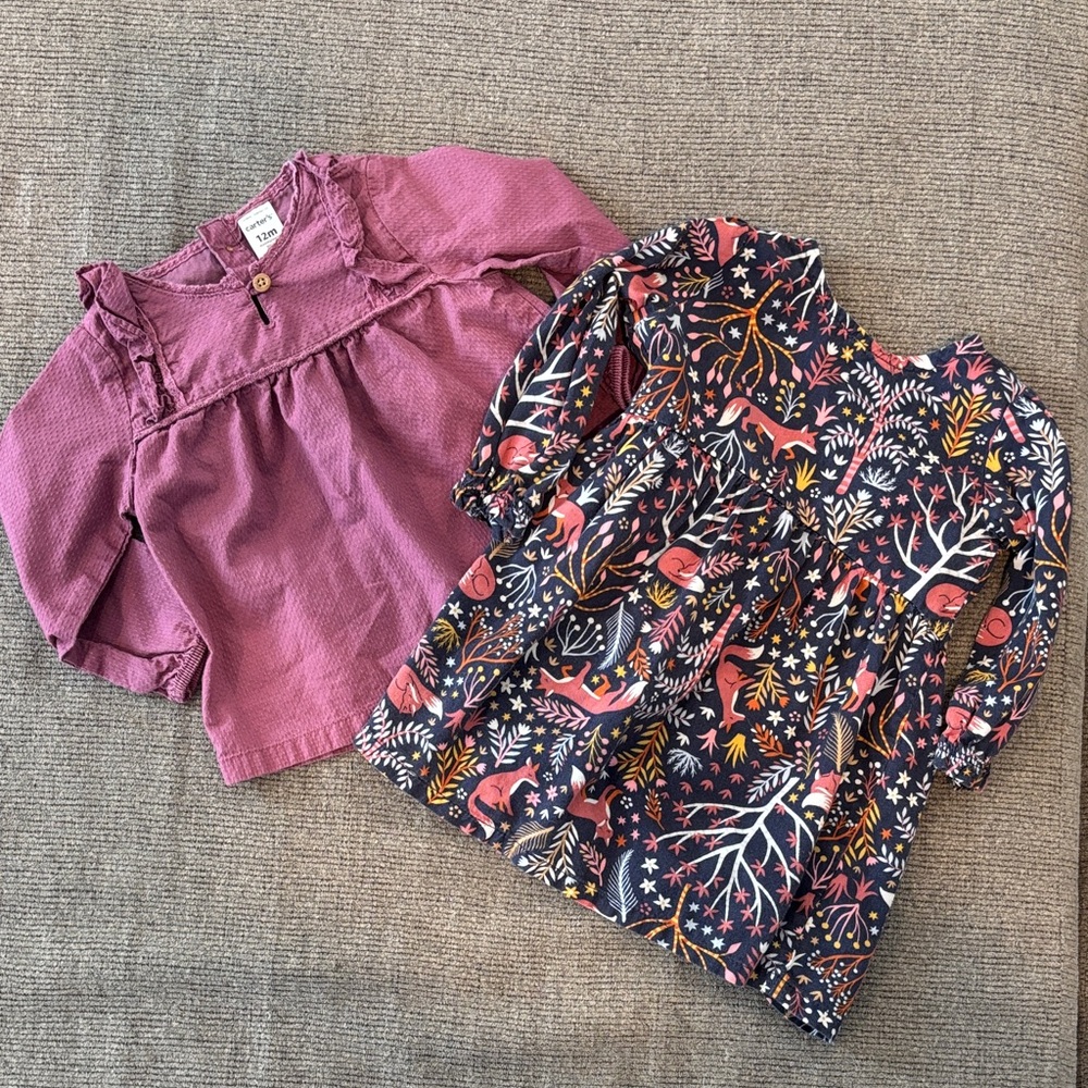 Carter's Purple and Floral Kids Blouse Set